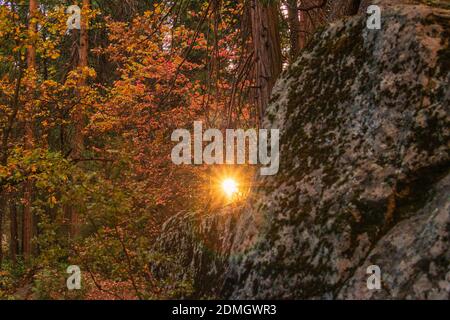 Fairy Land Sonnenstrahlen durch die Bäume mit einem riesigen Felsbrocken Stockfoto