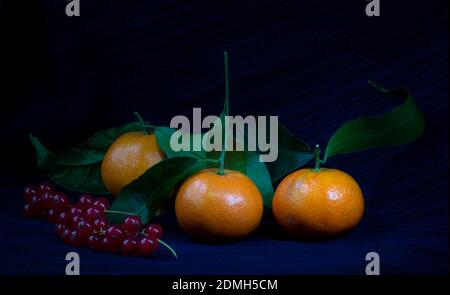 Mandarinen und rote Johannisbeerfrüchte auf dunkelblauem Hintergrund Stockfoto
