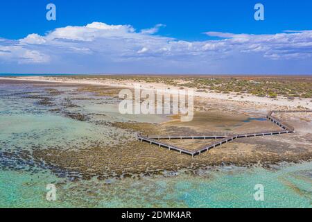 Holzsteg am Hamelin Pool für die Aussicht auf Stromatolithen, Australien Stockfoto