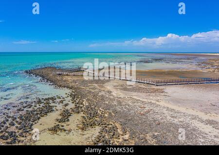 Holzsteg am Hamelin Pool für die Aussicht auf Stromatolithen, Australien Stockfoto