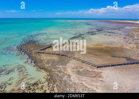 Holzsteg am Hamelin Pool für die Aussicht auf Stromatolithen, Australien Stockfoto