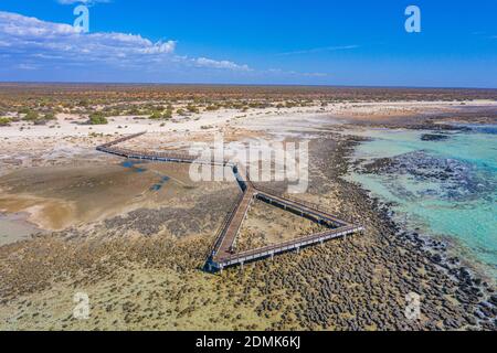 Holzsteg am Hamelin Pool für die Aussicht auf Stromatolithen, Australien Stockfoto