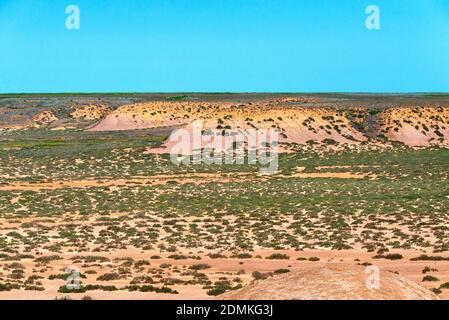 Landschaft mit trockenem geknackter Takir-Erde in Halbwüste. Stockfoto