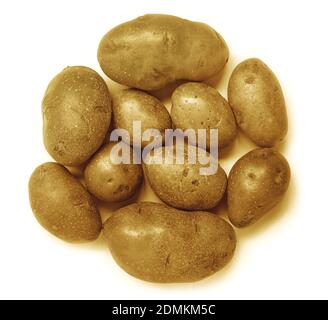 Frische Kartoffel, isoliert auf weiß Stockfoto