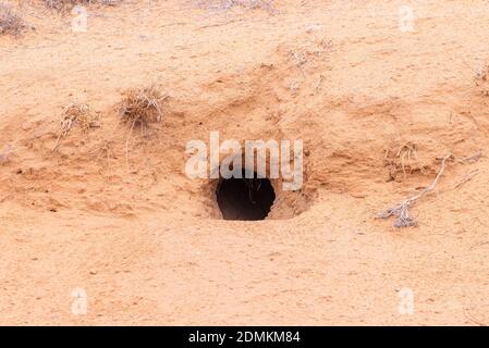 Cave, hole or burrow in the sand ground. Stock Photo