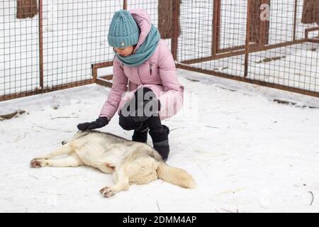 Ein Mädchen streichelt einen sibirischen Husky-Hund, der auf dem Schnee liegt und in einem Zwinger, in einer Voliere gehalten wird. Stockfoto