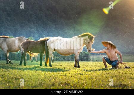 Lang Son Provinz, Vietnam - 10. November 2020: Bauern hüten sich um die Herde Pferde Stockfoto