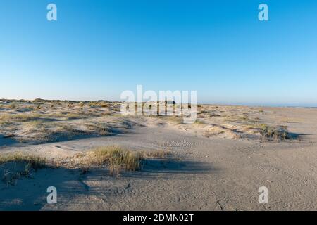 Ein sandiger Strand mit Gras an einem sonnigen Tag in Norderney Stockfoto