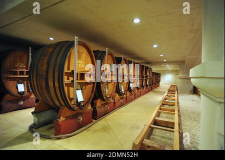 Ampuis on 2013/02/05. Barrels in the cellars of the wine estate Domaine Vidal-Fleury Stock Photo