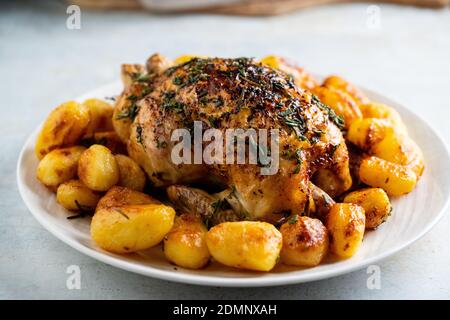 Roast chicken with potatoes ready to eat Stockfoto