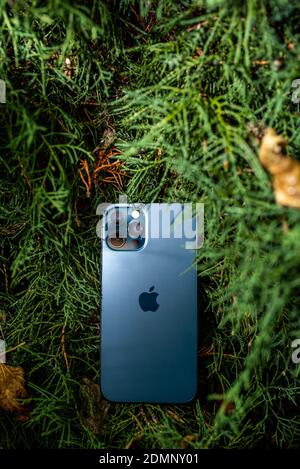 Paris, Frankreich - 11. Nov 2020: juniper Tree Hintergrund neuer Apple Computers Hintergrund das neue iPhone 12 Pro Smartphone mit 5g und Lidar Sensor Stockfoto