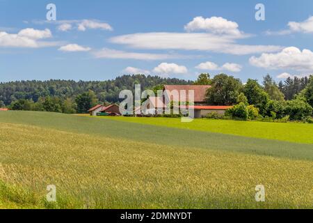 Idyllische Agrarlandschaft rund um Wiesenfelden im Bayerischen Wald bei Sommerzeit Stockfoto