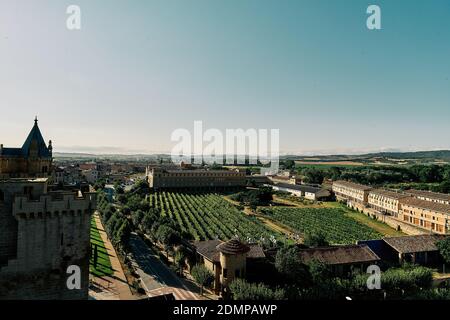 View of the vineyards from the castle of Olite in Navarre. Stock Photo