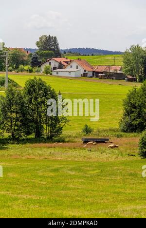 Idyllische Landschaft rund um Wiesenfelden im Bayerischen Wald im Sommer Zeit Stockfoto