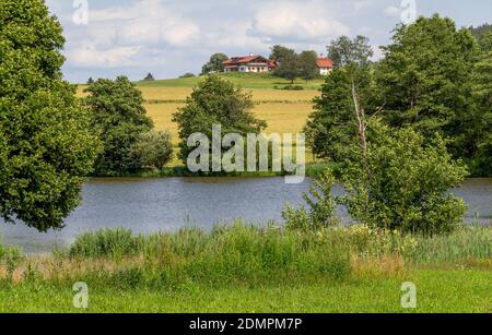 Idyllische Uferlandschaft rund um Wiesenfelden im Bayerischen Wald bei Sommerzeit Stockfoto