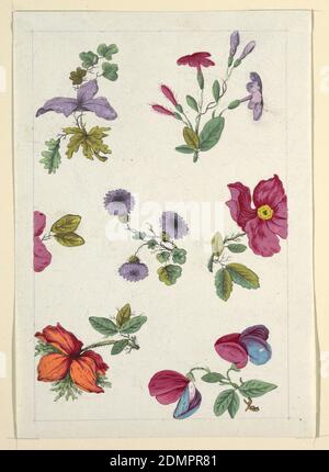 Blumenmuster für bedruckte Textilien, Louis-Albert DuBois, Schweizer, 1752–1818, Pinsel und Gouache, Graphit auf weißem Webpapier, mehrfarbige Blütenzweigen, grüne Blätter auf weißem Grund, gestickter Graphitrand., Frankreich, 1800–1818, Textildesigns, Zeichnung Stockfoto
