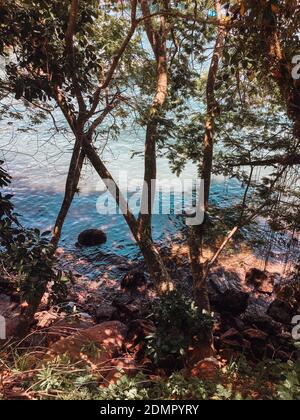 Eine vertikale Aufnahme von ruhigem klarem Meerwasser und einem tropischen Sandige Küste von üppiger Vegetation bedeckt Stockfoto