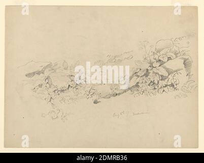 Laubstudie, Trachselwald, Bern, Schweiz, William Trost Richards, Amerikaner, 1833–1905, Graphit auf Papier, Skizze von Steinen und blühenden Pflanzen., Trachselwald, Bern, Schweiz, 2. August 1867, Naturstudien, Zeichnung Stockfoto