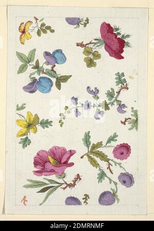 Blumenmuster für bedruckte Textilien, Louis-Albert DuBois, Schweizer, 1752–1818, Pinsel und Gouache auf weißem Webpapier, mehrfarbige Blütenzweigen, grüne Blätter auf weißem Grund, gestickter Graphitrand., Frankreich, 1800–1818, Textildesigns, Zeichnung Stockfoto