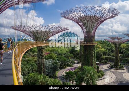 Singapore: Supertrees in the Gardens by the Bay (park) Stockfoto