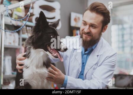 Glücklich gut aussehend bärtig Tierarzt Untersuchung liebenswert schwarzen Hund in seiner Klinik. Freundlicher Tierarzt streicheln schönen schwarzen Welpen. Gesunde Tiere concep Stockfoto