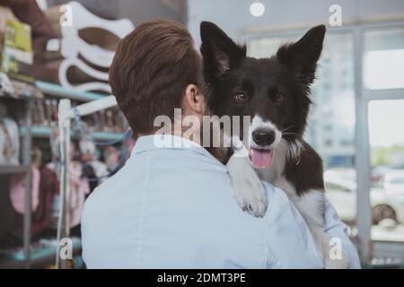 Rückansicht Aufnahme eines männlichen Tierarztes mit entzückenden glücklichen Hund. Nahaufnahme eines niedlichen gesunden Welpen glücklich auf die Kamera mit seiner Zunge aus. Schönes d Stockfoto