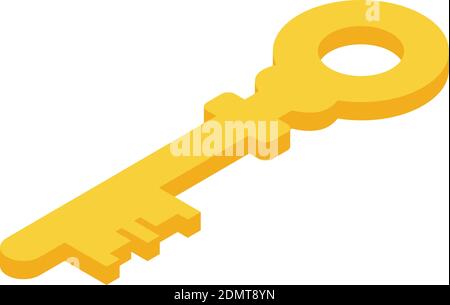 Key password icon. Isometric of key password vector icon for web design isolated on white background Stock Vektor