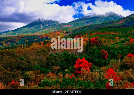 Mt. Tokachi, Herbstlaub, Hokkaido, Japan Stockfoto