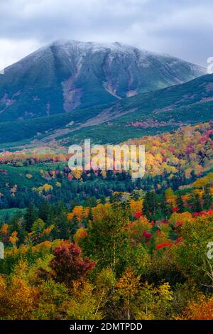 Mt. Tokachi, Herbstlaub, Hokkaido, Japan Stockfoto