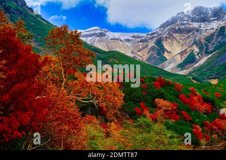 Herbstlaub, Tokachidake Onsen, Hokkaido, Japan Stockfoto