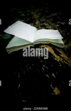 A vertical shot of an old vintage paper sketchbook with blank pages lying on a tree trunk in a mystical forest Stockfoto