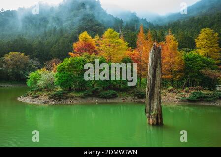 Landschaft von Mingchi Wald Erholungsgebiet in yilan, taiwan Stockfoto