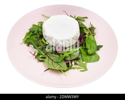Weicher Käse auf frischem Grün auf rosafarbenem Teller isoliert auf Weißer Hintergrund Stockfoto