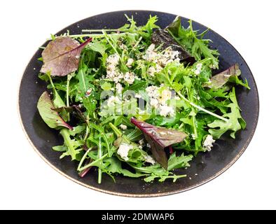 Vegetarischer Salat aus Mangold und Rucola mit Blauschimmelkäse, Pfeffer und Olivenöl auf dunkelbrauner Platte isoliert auf weißem Hintergrund Stockfoto