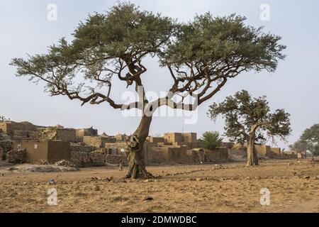 Das Dorf Sangha im Land der Dogon, Mali Stockfoto