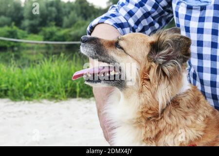 Mann und Hund sitzen auf Holzsteg. Urlaub mit Tierkonzept. Stockfoto