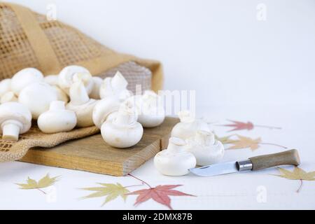 Frische Pilze auf Holzbrett Stockfoto