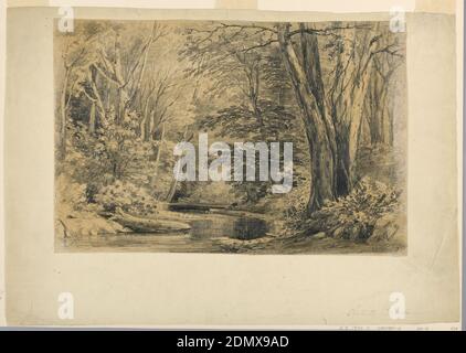 Artist's Brook, Henry Hitchings, American, d. 1902, Graphit auf braunem Gewebspapier, niedergelegt, EIN Bach fällt durch bewaldete Ufer., USA, USA, 1854, Landschaften, Zeichnung Stockfoto