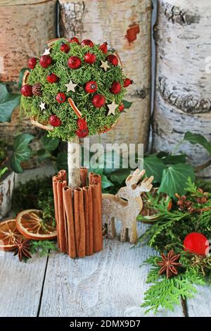 Floristin bei der Arbeit: Wie man schöne Weihnachtsdekoration in Baumform mit Moos, Zimtstangen und Hagebutte macht. Schritt für Schritt, Tutorial. Stockfoto