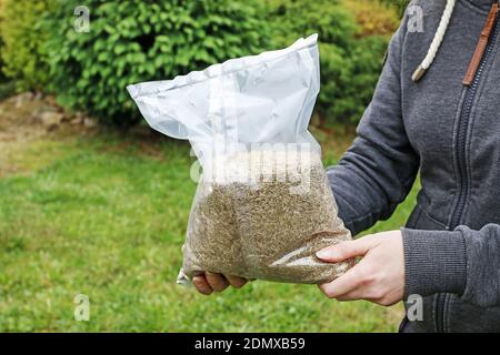 Die Frau hält einen Sack Grassamen in ihren Händen. Arbeiten im Garten Stockfoto