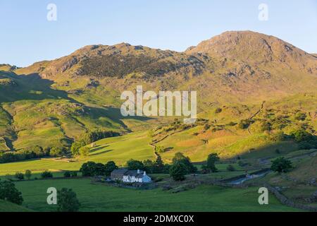 Little Langdale, Cumbria, England. Blick über grüne Felder auf Fell Foot Farm und den Gipfel des Wetherlam, Sonnenaufgang. Stockfoto