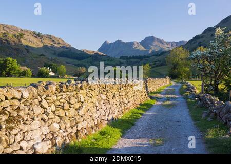 Little Langdale, Cumbria, England. Blick auf die Langdale Pikes vom Weg neben der typischen Trockensteinmauer, am frühen Morgen. Stockfoto