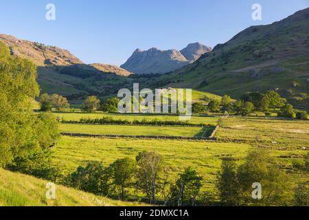 Little Langdale, Cumbria, England. Blick über grüne Felder auf die Langdale Pikes, am frühen Morgen. Stockfoto