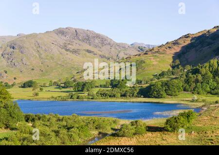 Little Langdale, Cumbria, England. Blick über Little Langdale Tarn in Richtung Wrynose Fell, am frühen Morgen. Stockfoto