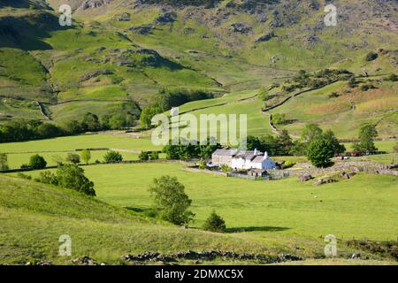 Little Langdale, Cumbria, England. Blick über grüne Felder auf Fell Foot Farm, am frühen Morgen. Stockfoto