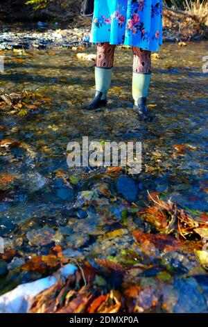 Beschnittene Ansicht einer Frau in einem blumigen Kleid und wellington Stiefel stehen in der Mitte eines Süßwasserstroms An einem Herbsttag in Frankreich Stockfoto