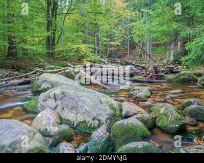 Das Flussbett der Szklarka ist mit umgestürzten Bäumen und Ästen bedeckt. Die Karkonosze Riesengebirge Wald und Dampf im Herbst Landschaft. Stockfoto