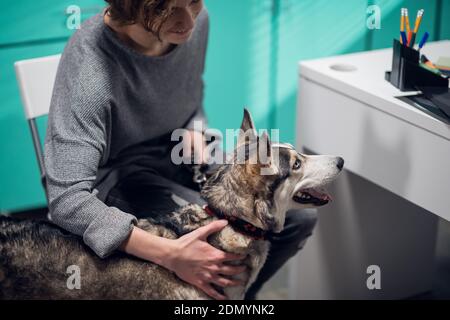 Eine junge Frau, die ihren Hund zur Untersuchung in einer Tierarztklinik bringt. Stockfoto