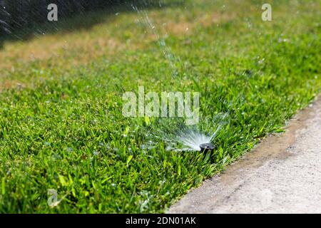 Nahaufnahme auf Sprinkler Sprühen Wasser auf grünen Rasen Hinterhof. Bewässerungssystem für den Garten Stockfoto