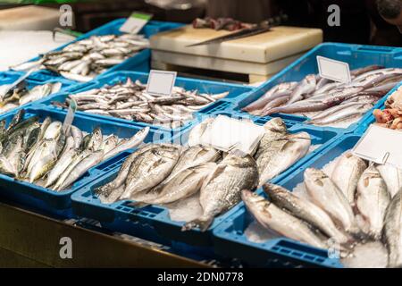 Verschiedene Arten von frischem Fisch auf Eis auf der Theke Fischmarkt in Barcelona Stockfoto